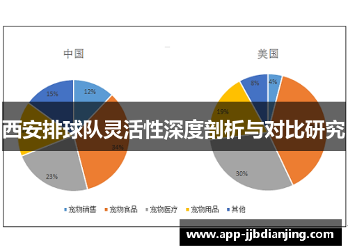 西安排球队灵活性深度剖析与对比研究