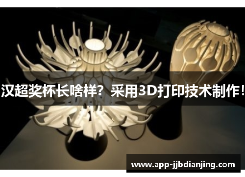 汉超奖杯长啥样？采用3D打印技术制作！